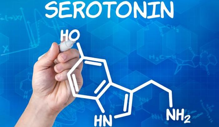 Significado De Serotonina